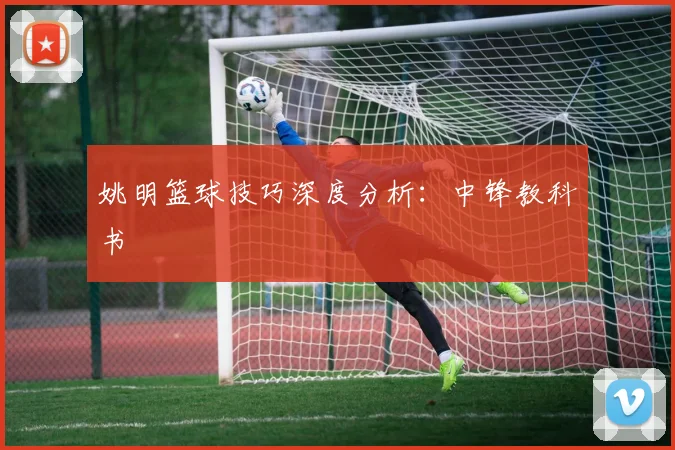 姚明篮球技巧深度分析：中锋教科书