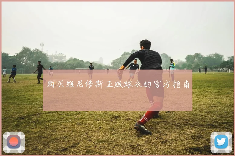 购买维尼修斯正版球衣的官方指南