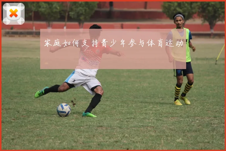 家庭如何支持青少年参与体育运动